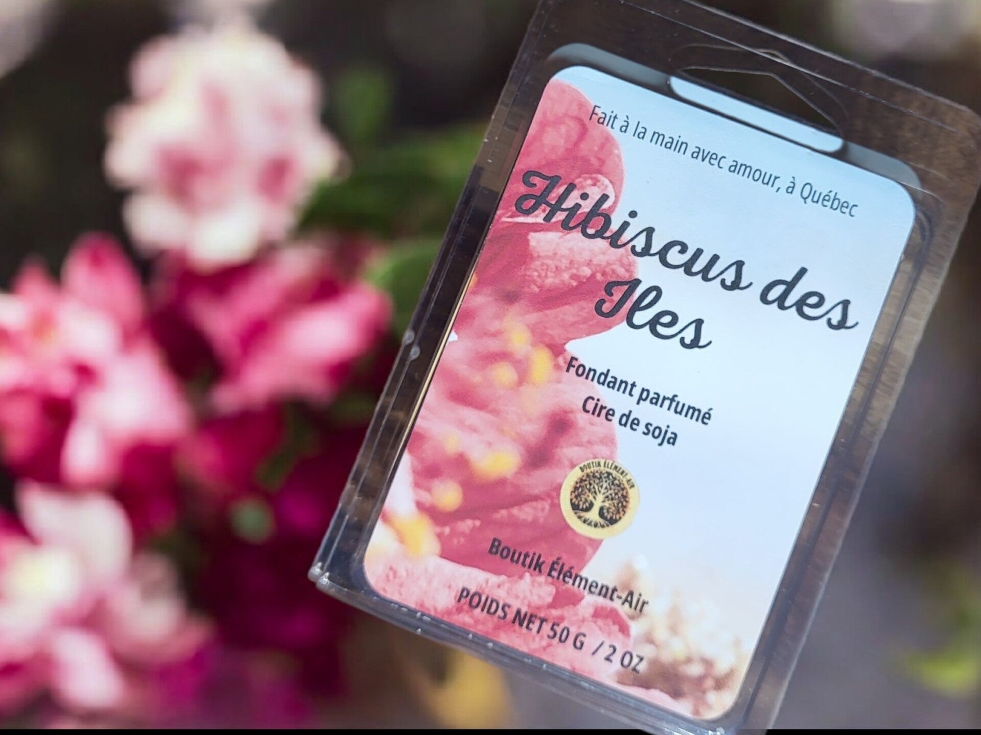 Hibiscus des îles
