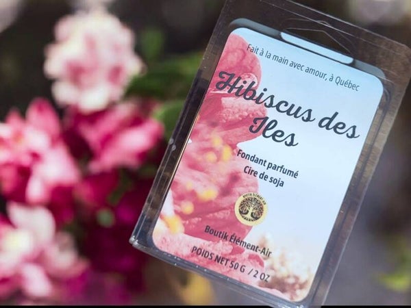 Hibiscus des îles
