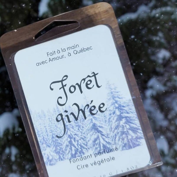 Forêt givrée