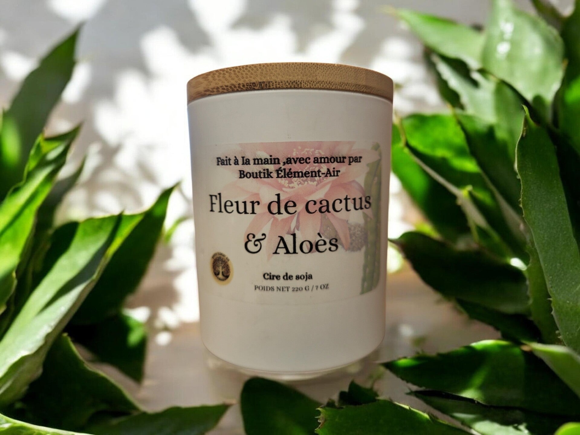Fleur de cactus & aloès