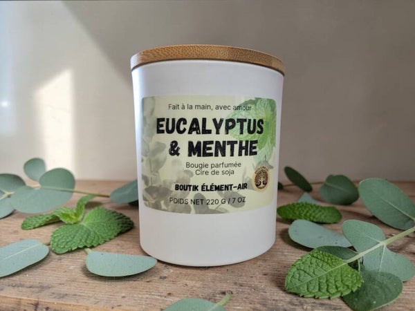 Eucalyptus et menthe