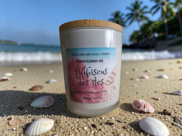 Hibiscus des îles