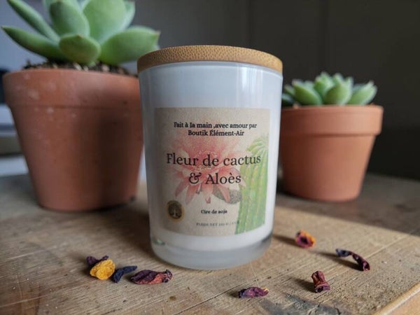 Fleur de cactus & aloès