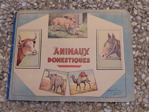 Boek Animeaux Domestique