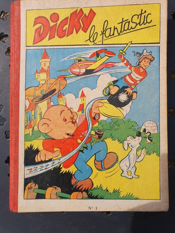 Boekje Dicky le fantastic