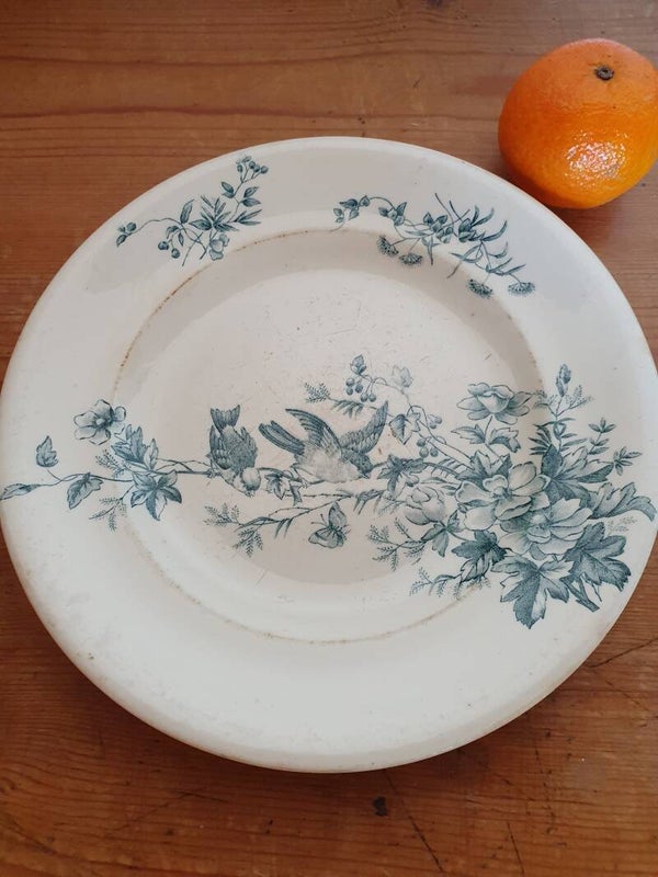 Bord vogels Longway Mignon