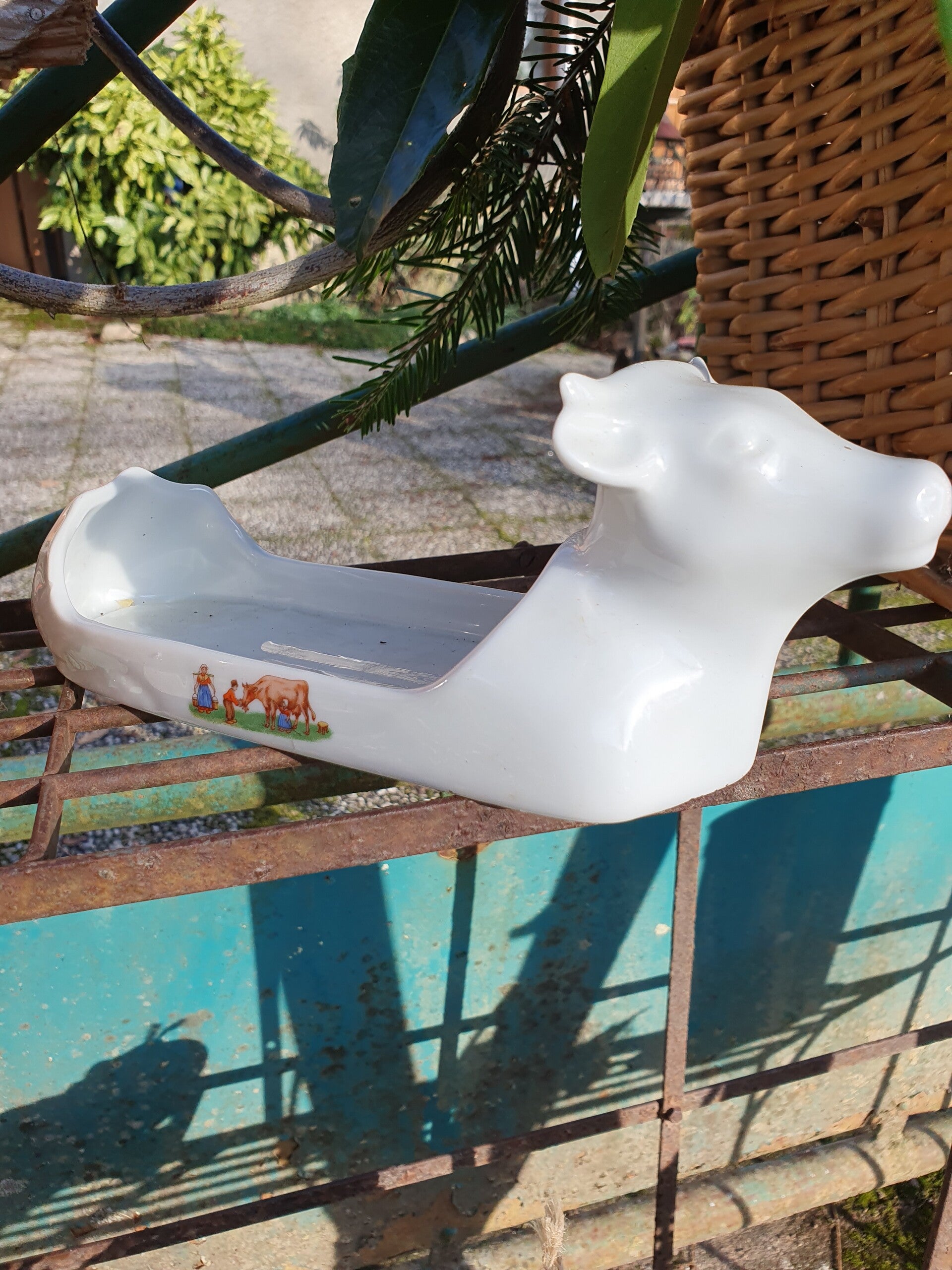 Franse botervloot koe