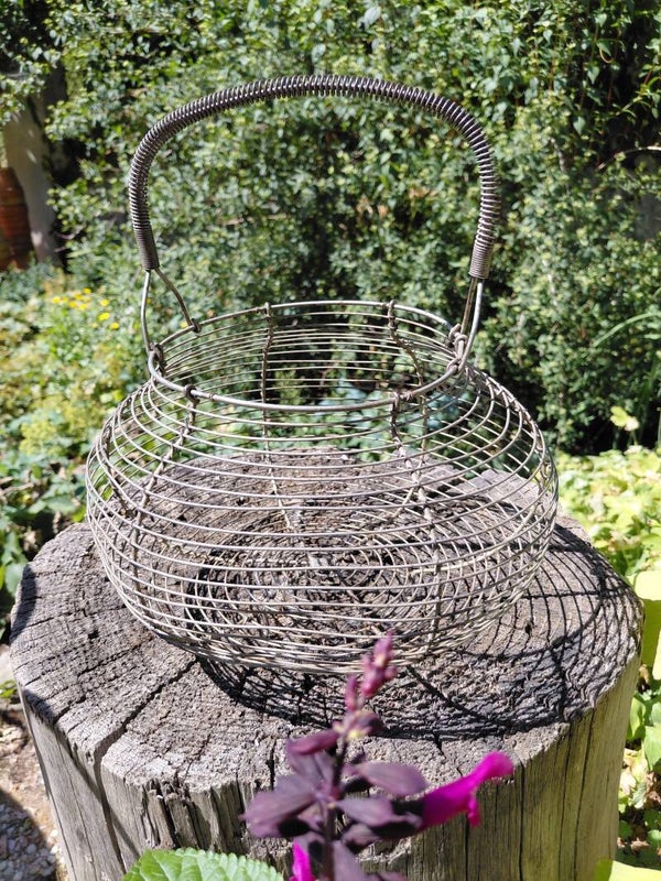 Eier- of sla mand fil de fer