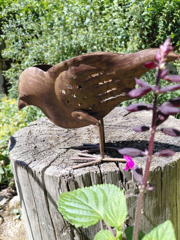 Kandelaar vogel