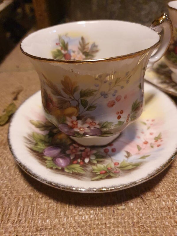 Kop en schotel Paragon