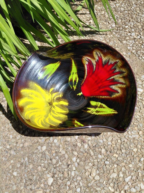 Schaal gekleurd
