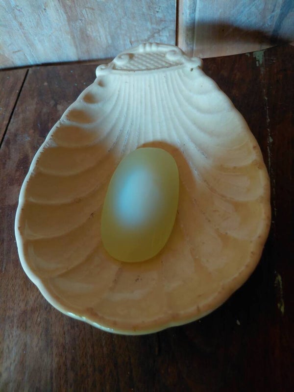 Antiek schelp schaaltje