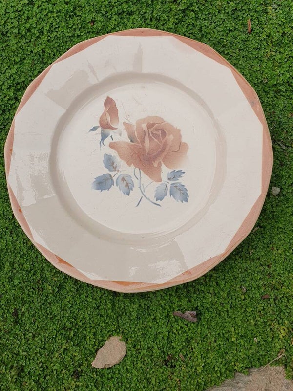 Servies bord Digion & Sarrequemines 8781