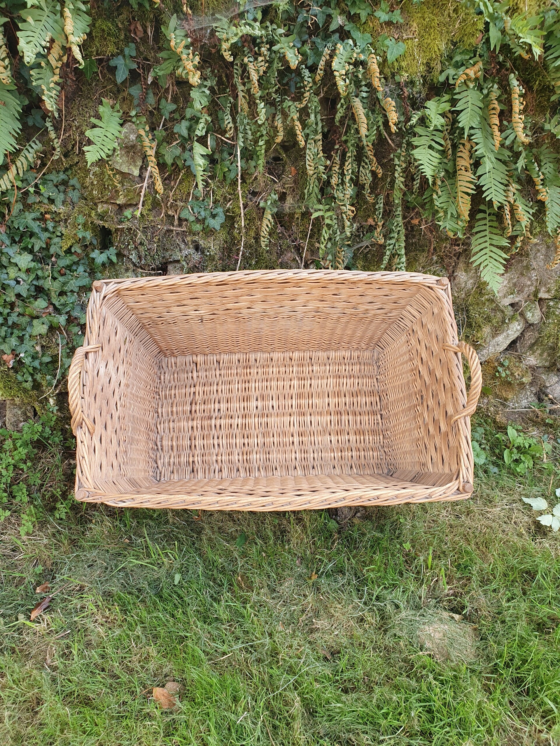 Grote rieten (was) mand