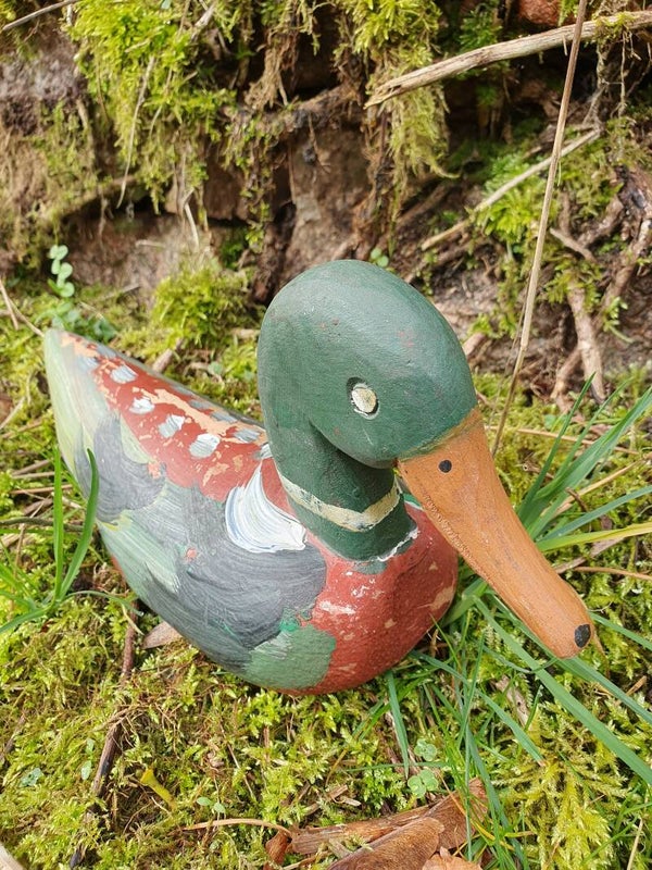 Antieke lokeend - Canard leurre antique