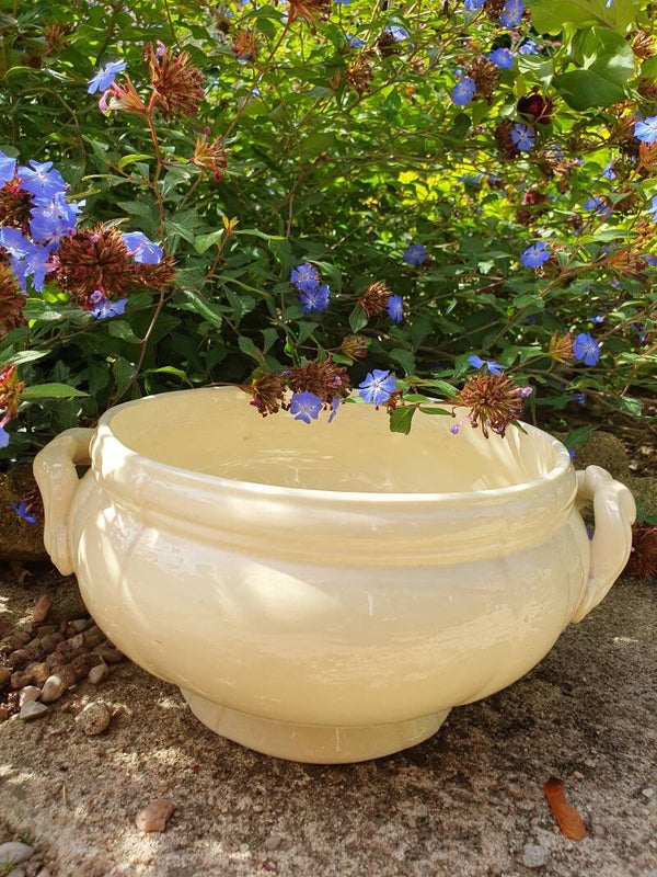 Franse terrine - Soupière