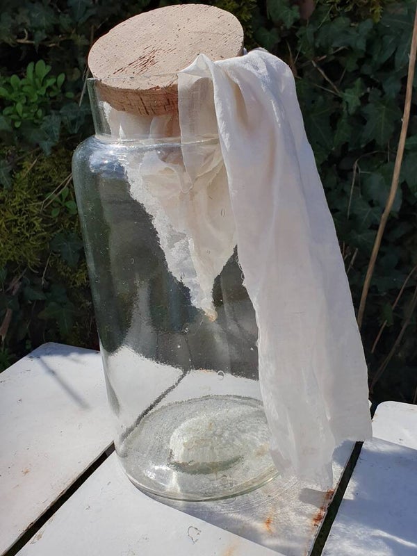 Oude franse voorraadpot - Ancien pot de conservation français