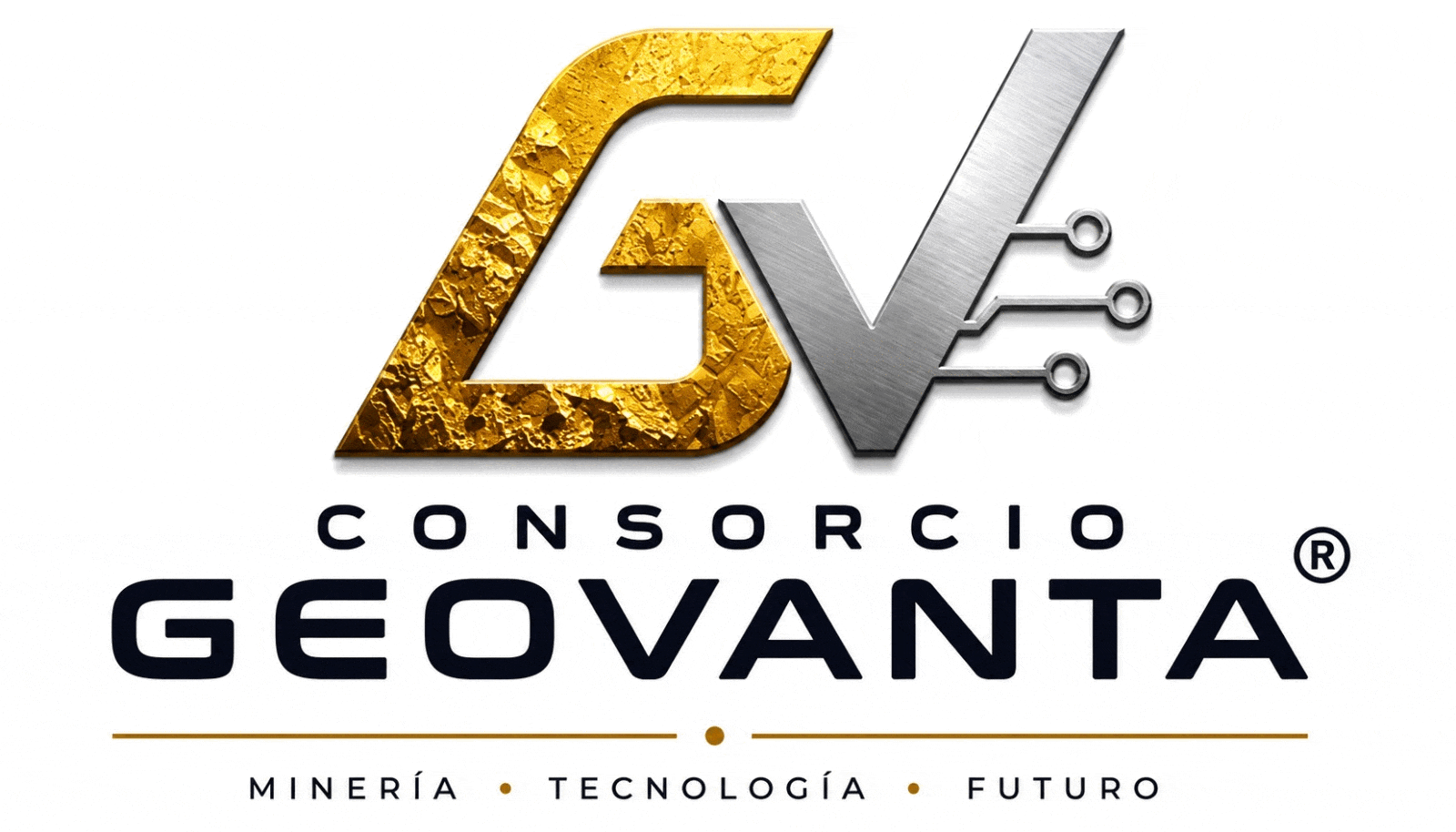 CONSORCIO GEOVANTA