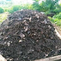 1715673314858-standard.jpg