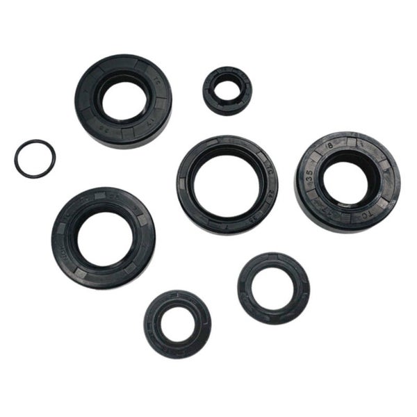 Stefasarja, Minarelli AM6