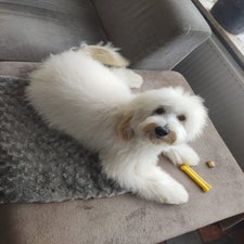 lola-standard-oblsf6.jpg