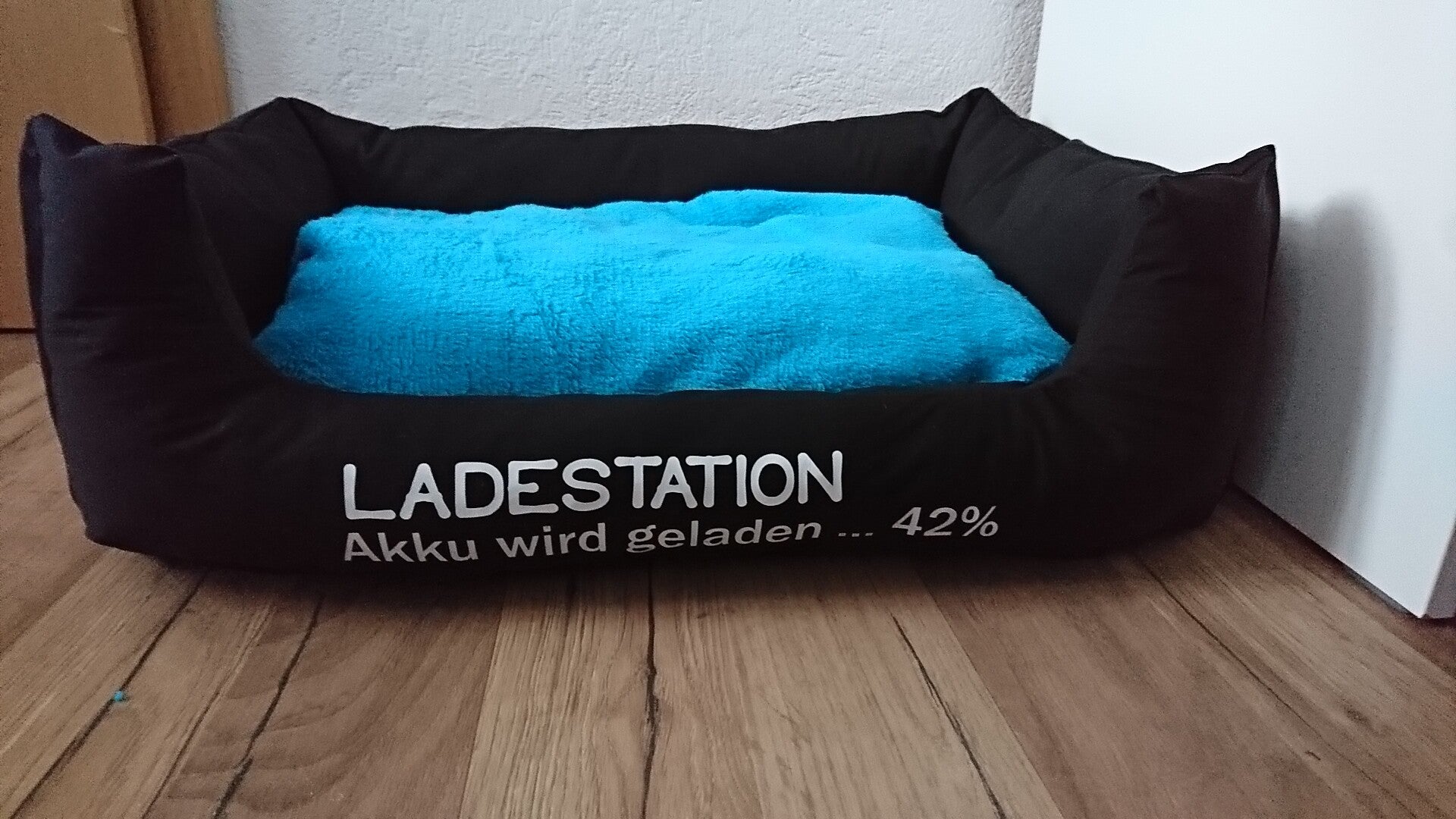 Hundebett Ladestation