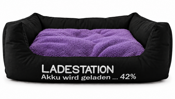 Hundebett Ladestation