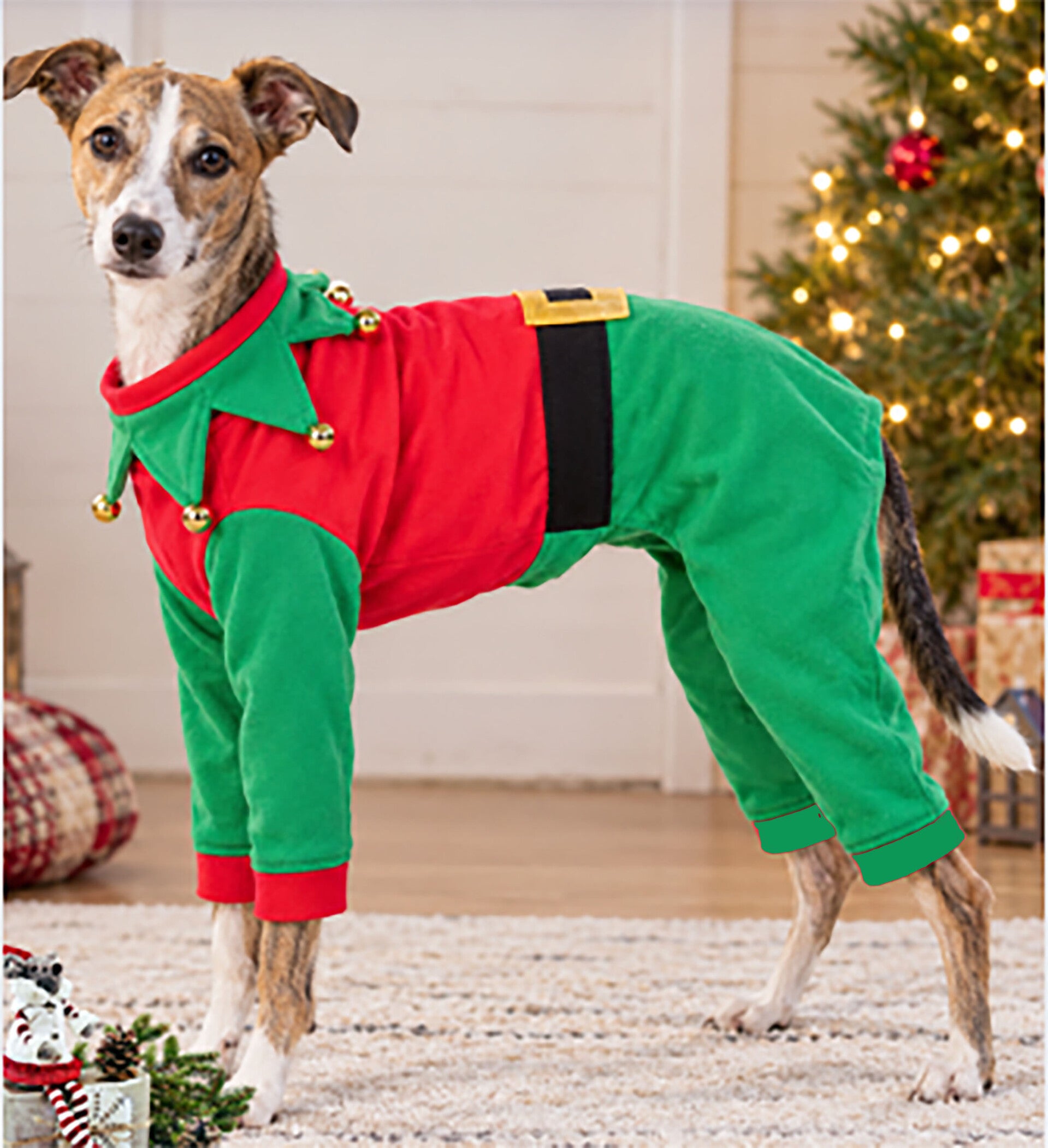 4-Legged Red and Green Christmas PJs
