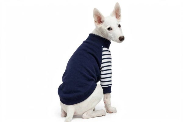 XXL 4-Legged Navy and White Fleece -Skinny Long-back Dogs