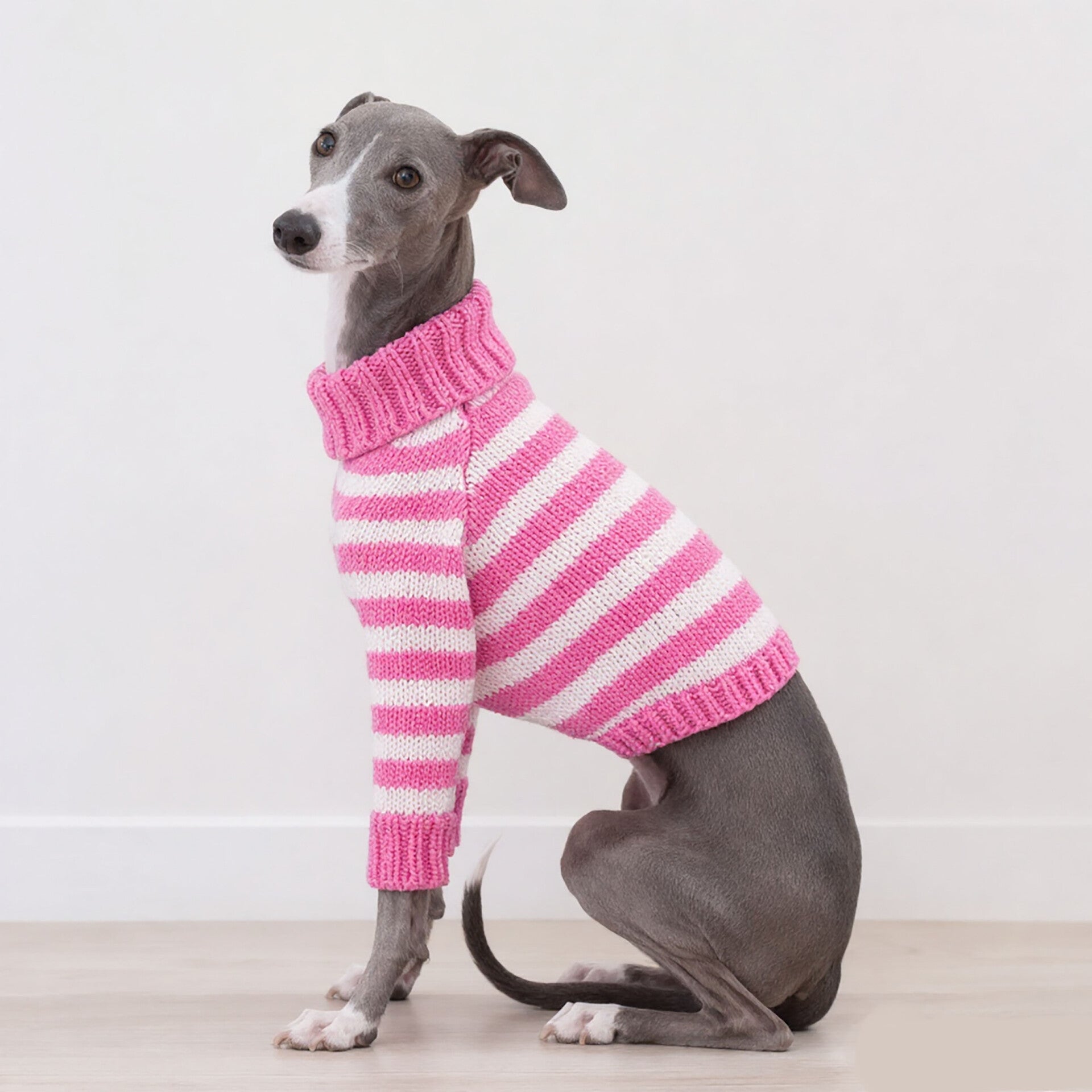 4-legged Iggy Cotton Sweater