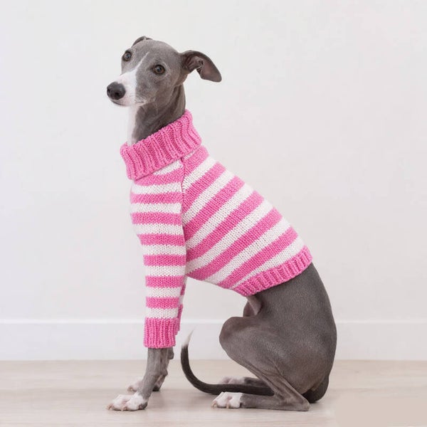 4-legged Iggy Cotton Sweater