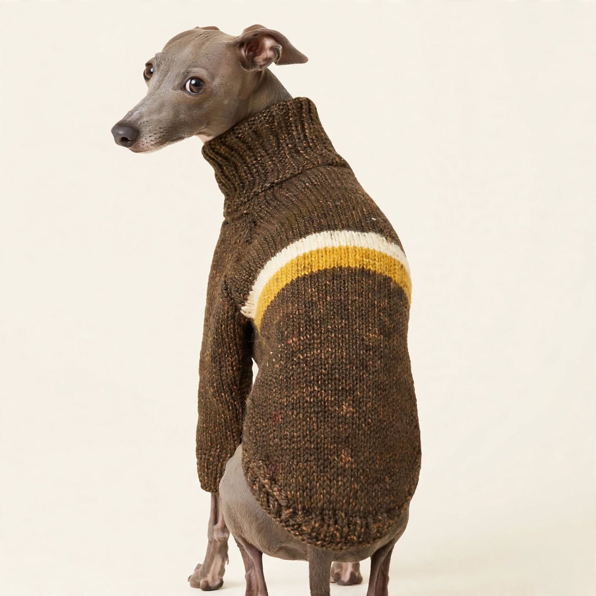 M Italian Greyhound Sighthound Sweater Jumper