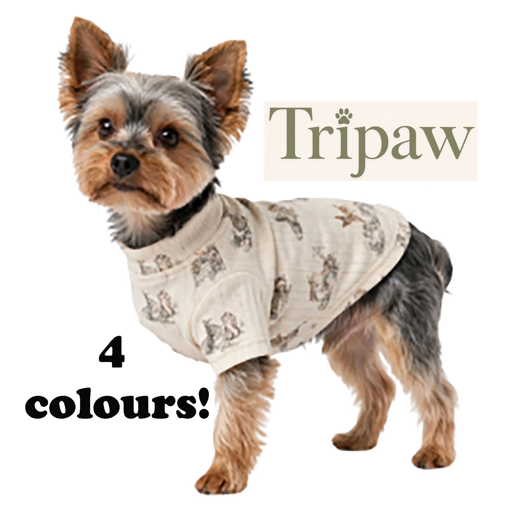 Right Leg Amputated - XS 3-legged dog recovery shirt
