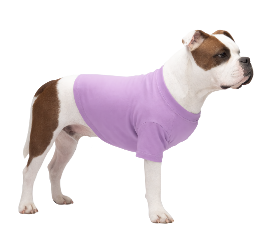 Tripaw Recovery T-shirt - Large Dog
