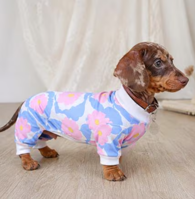 Left Leg Amputation -Floral Tripawd Recovery PJs - Small Dachshund