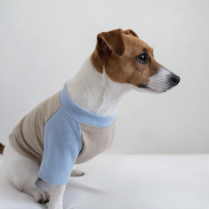 Left Front Leg Amputee -Beige & Blue Everyday Shirt - Size S