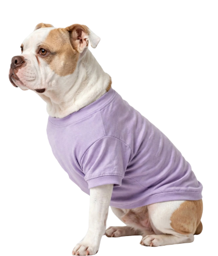 Front Leg Amputation  Left or Right -Dog Recovery T-Shirt - XS, S, M, L,