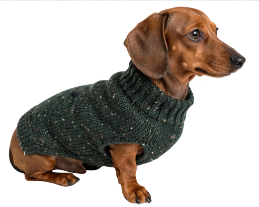 Left Front Amputation - Hand-Knitted Sweater for 3-Legged Mini Dachshunds