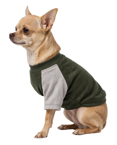 Right Leg Amputated - XXS 3-legged Sport recovery shirt - Grey and military green