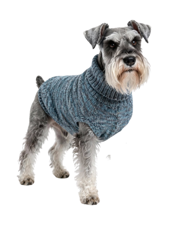 Left Front Leg Amputation - Team sweater size M