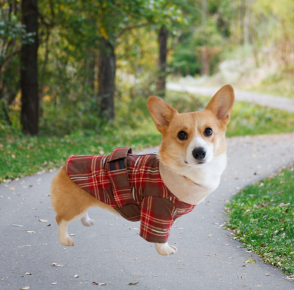 Left Leg Amputation 3-legged Tartan Coat