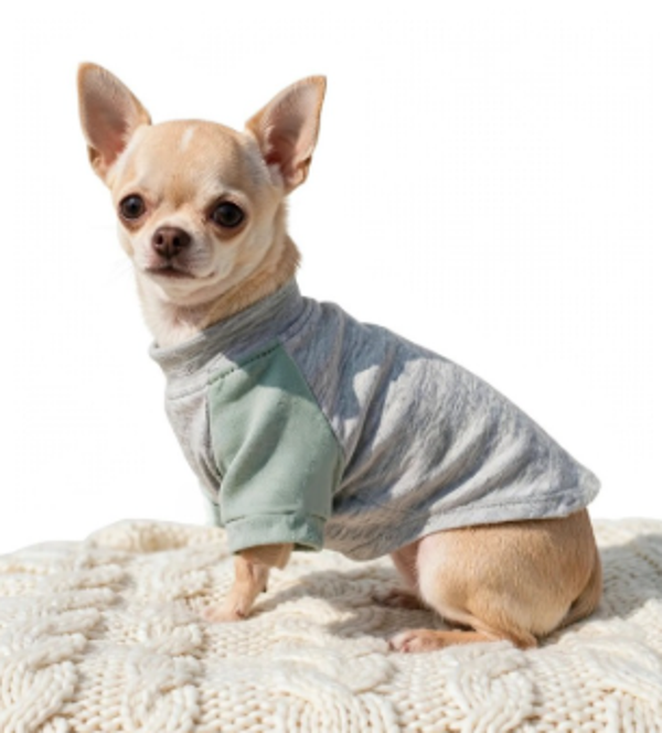 Right Leg Amputated XXS Grey and Sage shirt