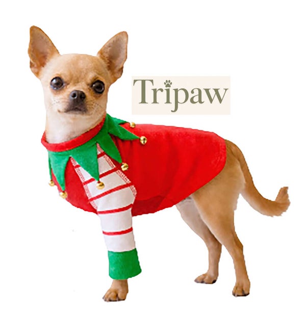 3 Legged Small Dog Christmas Elf Shirt - XXS & S