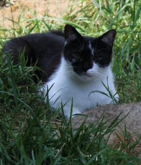 Peggy