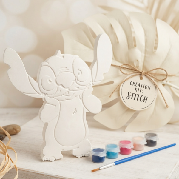 ​DIY Schilderpakket – Breng Stitch tot Leven!