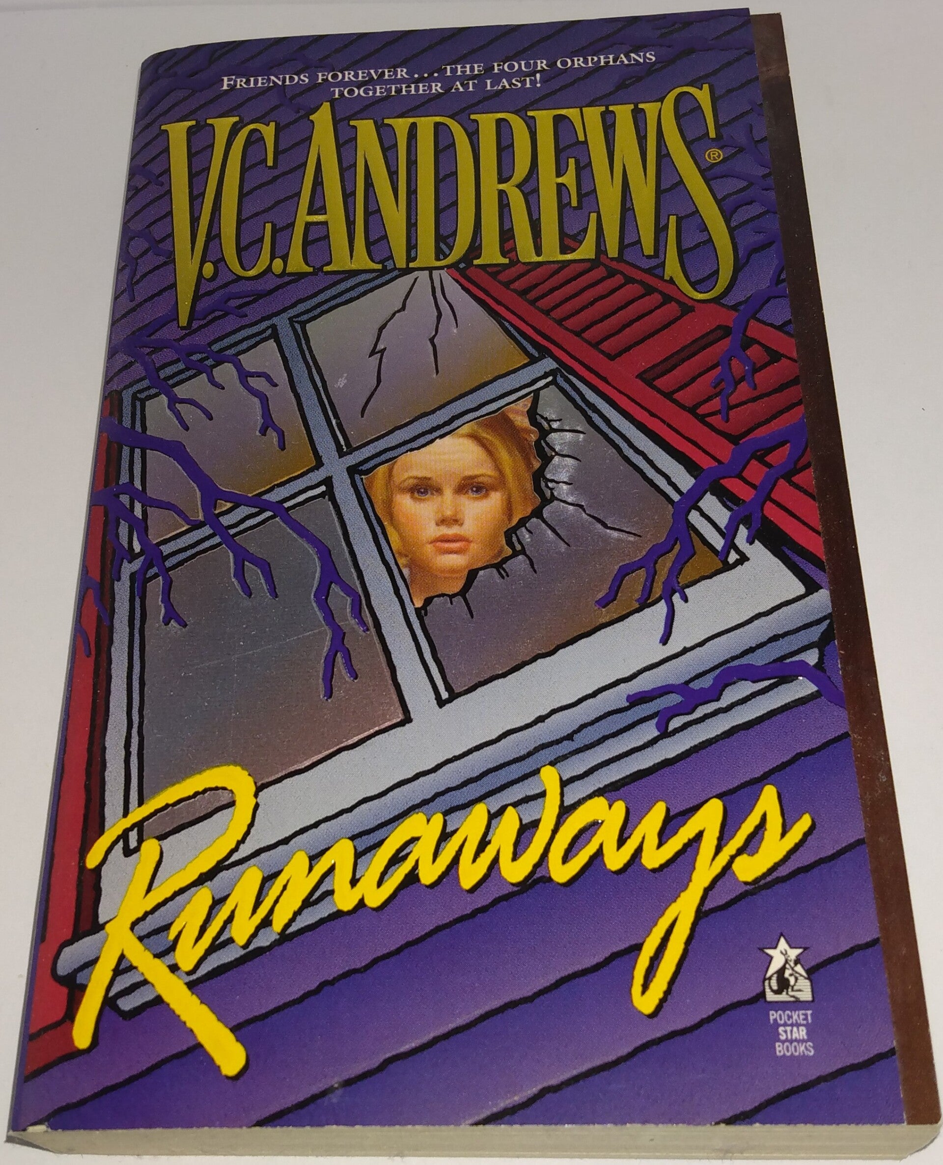 Runaways by V.C. Andrews – Suspenseful Young Adult Drama