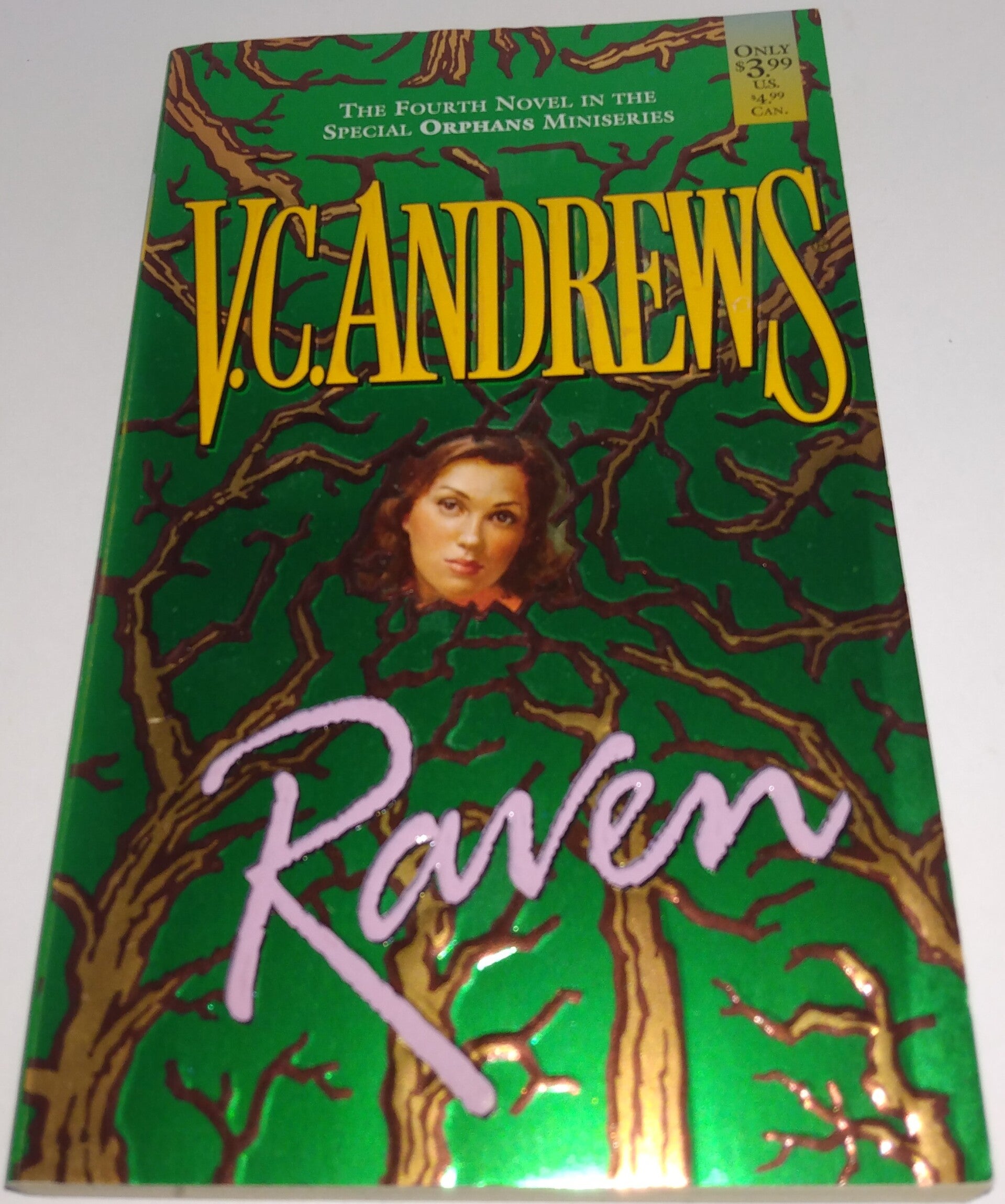 Raven by V.C. Andrews – Gripping Gothic Romance