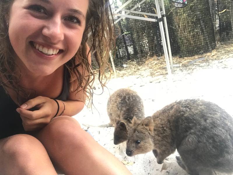 Quokka&#039;s op visite