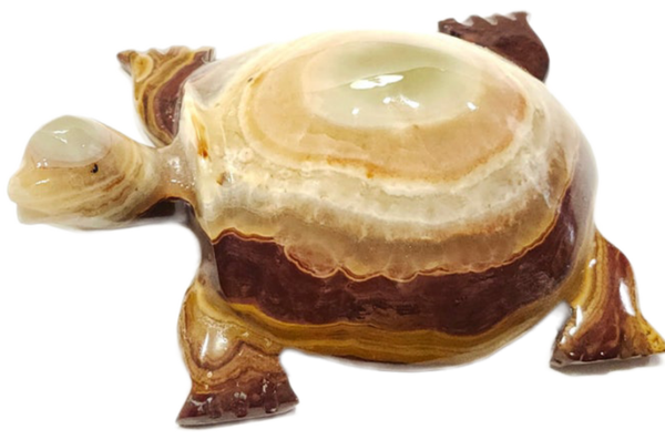 Carved Afghan Jade Gemstone Tortoise