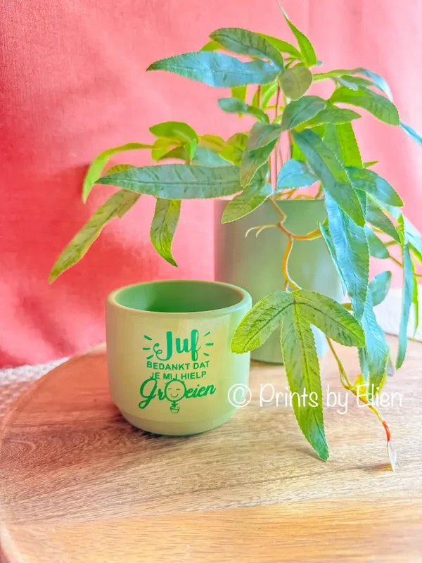 Bloempotje Bedankt om me te helpen groeien – Cadeau voor Juf of Meester